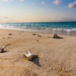 限りなく青い海と、ゆっくりと進む島の時間。一度は訪れたい日本最南端の地、波照間島。