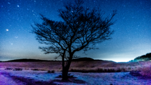 奈良県の有名天体観測地、曽爾高原の星空を紹介します【星空スポット14】