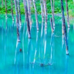 北海道車中泊旅行で行ってきた場所・費用まとめ