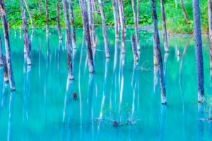 北海道車中泊旅行で行ってきた場所・費用まとめ