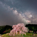 桜と天の川を写すなら奈良県の又兵衛桜がおすすめ！！【星空スポットその19】